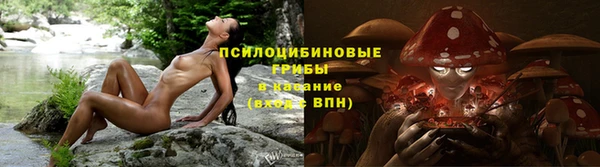 крисы Алзамай