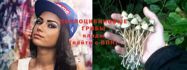 крисы Алзамай